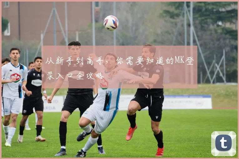 从新手到高手，你需要知道的MK登录入口全攻略